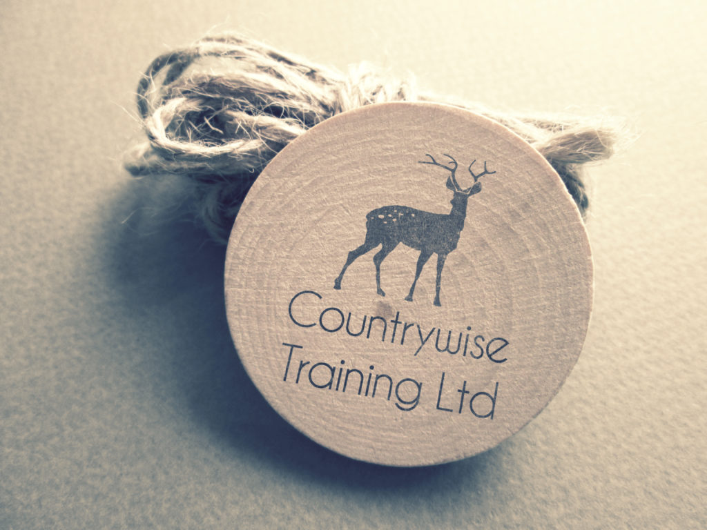 Countrywise Training Ltd Logo Branding Design